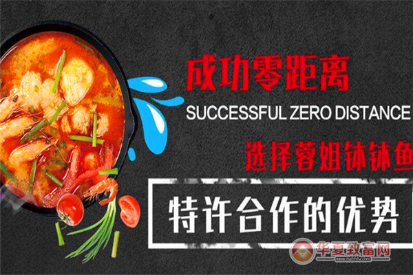 蓉姐钵钵鱼加盟